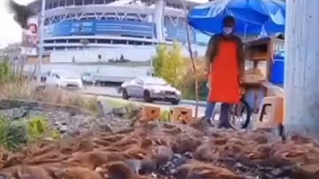 انا الإنسان لربه  لكنود وإنه على ذلك لشهيد وإنه لحب الخير لشديد (سورة العاديات)