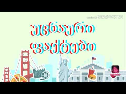 19 ფაქტი ამერიკის შესახებ