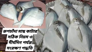 রুপচাঁদা মাছ সঠিকভাবে কাটা, পরিষ্কার ও ফ্রিজে সংরক্ষণ পদ্ধতি / rupchanda fish cutting