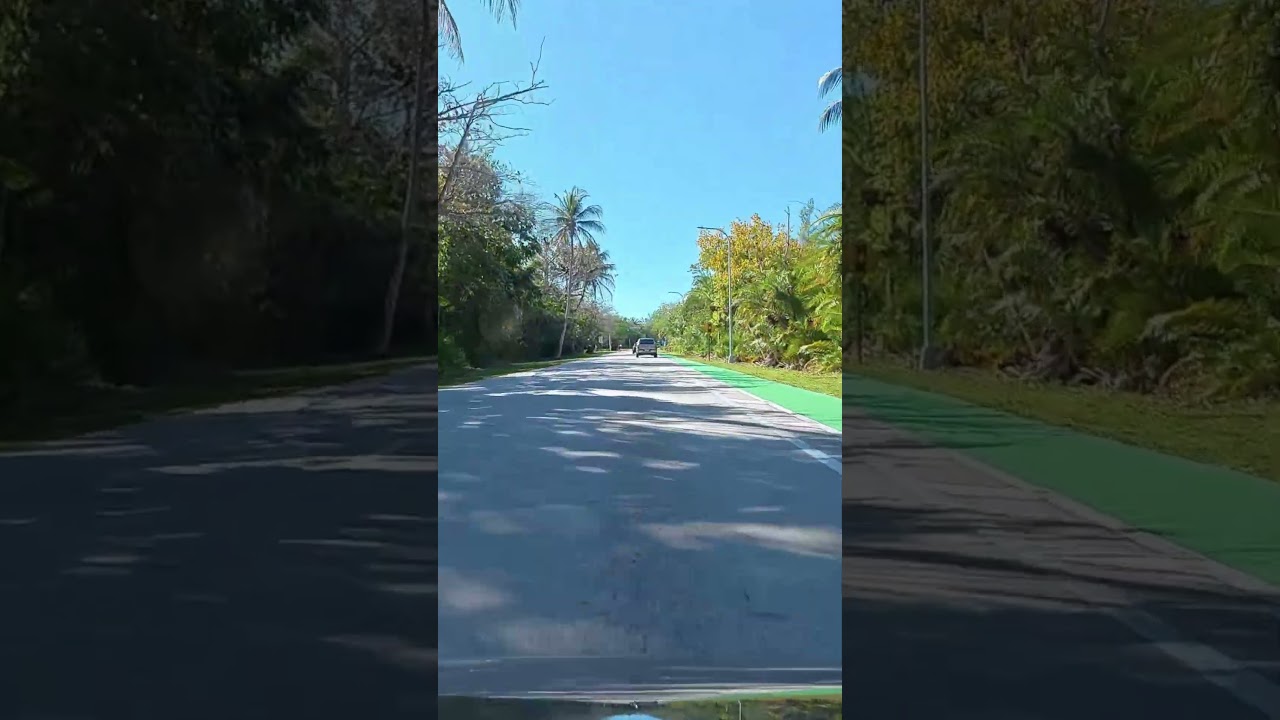 🇺🇸 Relaxing cruise in Florida main roads