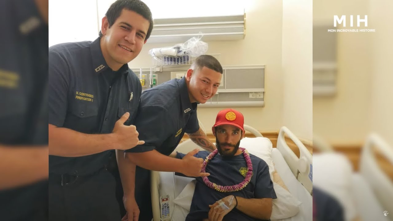 меня съела акула