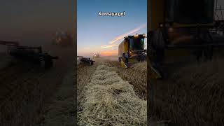 Bizim Biçer Çinin Yaptığı Korna