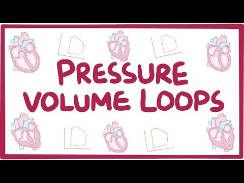 Changes In Pressure Volume Loops 