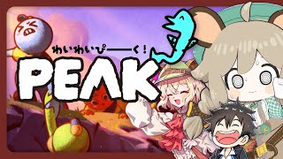高所恐怖症！わいわいぴーーーく！【PEAK】