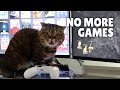 Why Won't Cats Let Humans Play Games? | Kittisaurus Villains