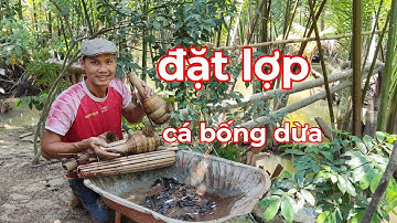 Cậu cháu đặt lợp ở vùng sông nước trúng cá Bống Dừa đẩy về bằng Xe Rùa