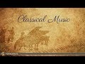 Classical music collection  bach mozart haydn vivaldi beethoven