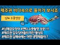 제주권 심해갑오징어의 활성도는 다르다 #심해갑오징어 #수중영상