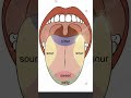 #human physiology#science #biology #BSc#tongue #taste buds#class 12 #tongue health #reason of test