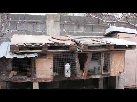 ქართველებს ცუდი სენი გვჭირს... ვინც მართლა რამეს აკეთებს არვაფასებთ, რომ მოკვდება მივსტირით საფლავში