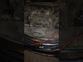 K24z3 Honda Accord light revs