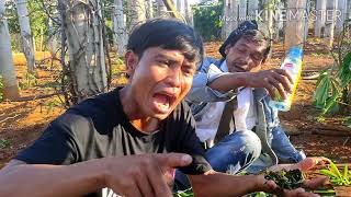 Download Lagu Phim bana | ba thằng nghiện rượu |  phim hài làng