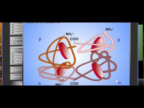 2. ლექცია: რა არის ცილა? (2 ნაწილი)
