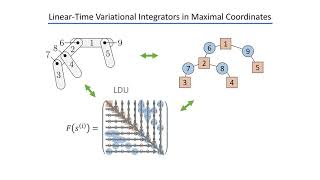 Linear-Time Variational Integrators in Maximal Coordinates