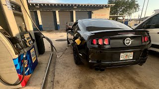 2014 MUSTANG GT REVIEW \& POV😵‍💫 - 20,000 MILES Later🔥