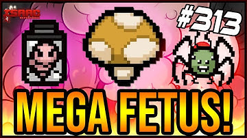 MEGA FETUS! - The Binding Of Isaac: Repentance #313