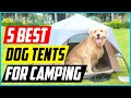 Best Dog Tents For Camping 2021 [Top 5 Picks]