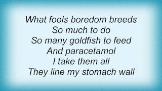 Catatonia - Goldfish And Paracetamol Lyrics