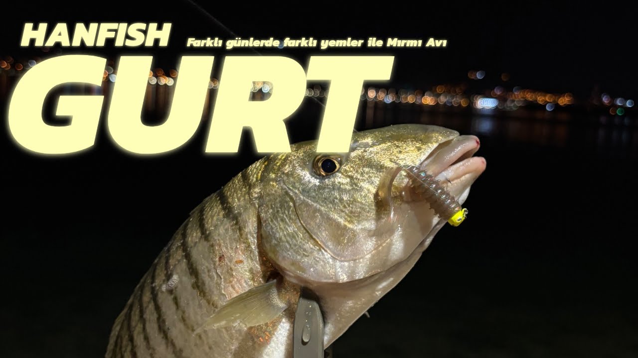 Genç Balıkçı Hamza Zehiri Aldı - Kocaeli Değirmendere Mırmır Avı