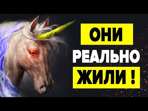 Видео: Разве существовали Единороги?