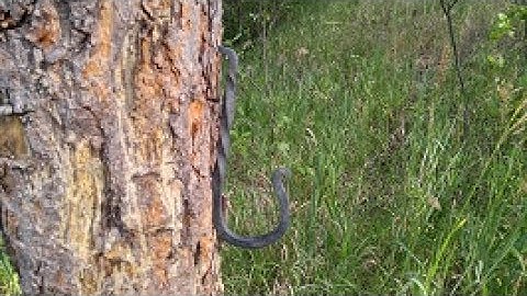 Beginner Projects: forging a simple wall hook, a drive hook, and an S hook