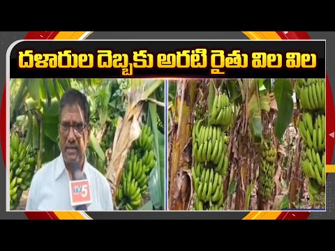 అరటి రైతు విల విల | Anantapur Banana Farmers Face Huge Loss || TV5 News ApT - TV5NEWS