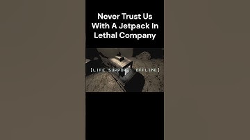 Never Trust Us With A Jetpack In Lethal Company!