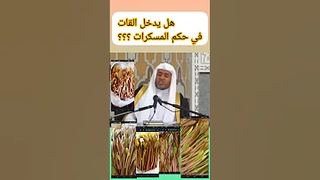 حكم تعاطي القات في الدين الإسلامي 