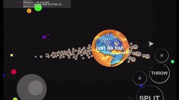 popsplit on dual mode (blob)