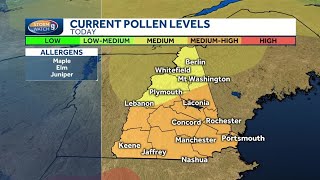 Are you an allergy sufferer Pollen count high across much of NH