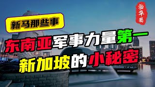 东南亚军事力量排第一？弹丸小国的新加坡，为什么要大力发展军事实力？背后的秘密又是什么？丨李光耀的“毒虾理论”