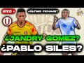 ¿NUEVO FICHAJE? ¿JANDRY GOMEZ?  ¿PABLO SILES?  CONCLUSIONES DE LA NOCHE CREMA 2026