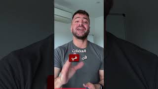 هل الخبز و الشوفان عالي البروتين لهما فائدة؟ رجيم تخسيس تخسيس_الكرش