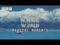 Magical travel moments to inspire your next trip 🌍 | Celebrity Race Across The World - BBC