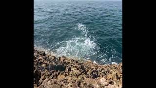 IMG 0196