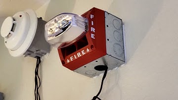 All Tones System Sensor MASS-2415ADA Sounder Strobe Fire Alarm Test