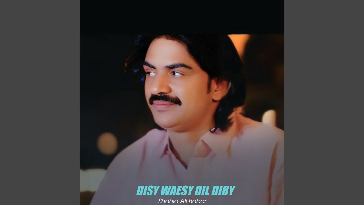 Disy Waesy Dil Diby