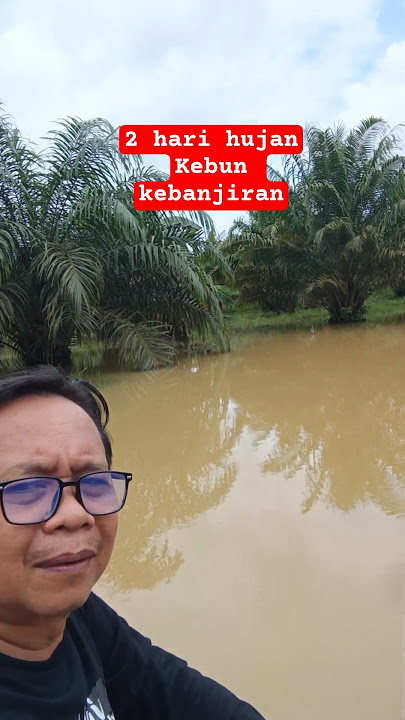 After 2 days of rain, the river overflowed #rain #flood
