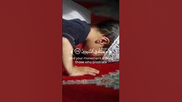 "وَتَوَكَّلْ عَلَى الْعَزِيزِ الرَّحِيمِ"❤/سورة الشعراء/الشيخ فارس عباد