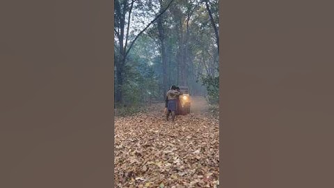 Pushpa 2 Shooting BTS #shorts #videos