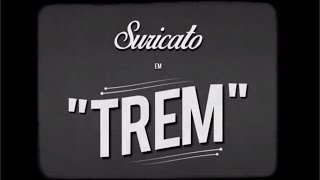 Watch Suricato Trem video