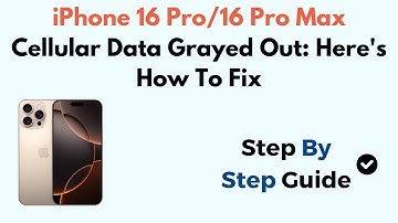 iPhone 16 Pro/16 Pro Max Cellular Data Grayed Out: Here
