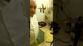 שייטל בקר מיושן עם השמן בטעם בצל שלי