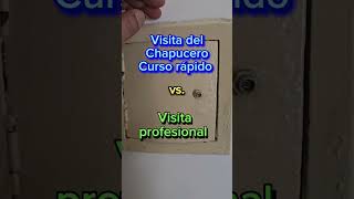 Comparativa De Chapucero De Curso Rápido Y Profesional Con Estudios