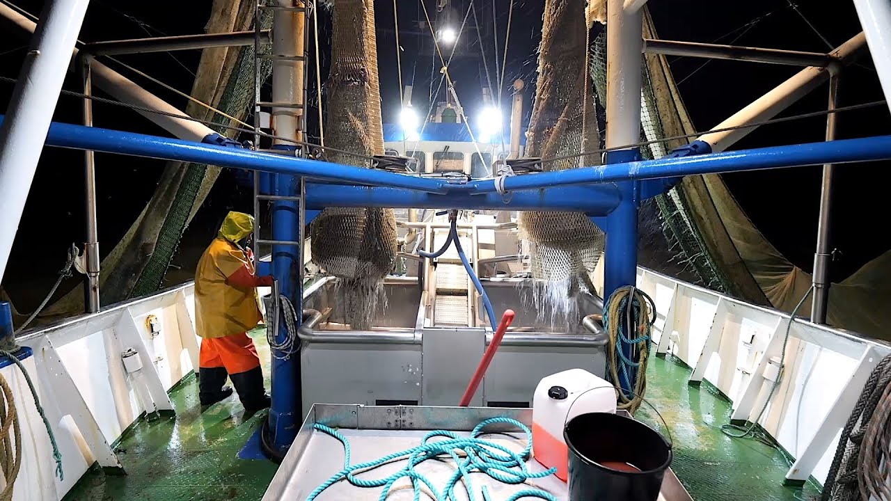 Wenn Vater und Sohn Krabben fischen