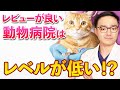 【必見！！】あなたの動物病院は大丈夫！？〜良い動物病院の選び方を獣医が紹介〜