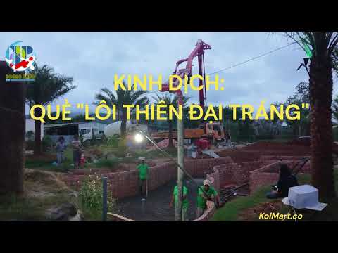 Video TỰ HỌC KINH DỊCH QUẺ LÔI THIÊN ĐẠI TRÁNG #KoiMart SIÊU... - youtube