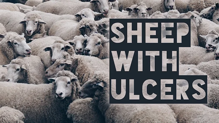 Sheep With Ulcers | Pastor Jimmy Guffey