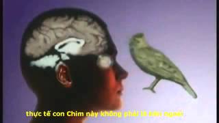 Vạn Pháp Duy Thức