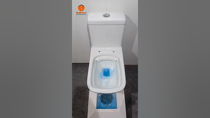 MODEL : RIPON Siphonic Rimless ONE PIECE TOILET | SAW DUST TESTING